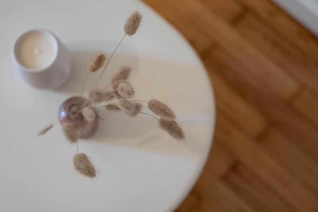 La Praline, Studio Coeur Ville Anse Eksteriør bilde